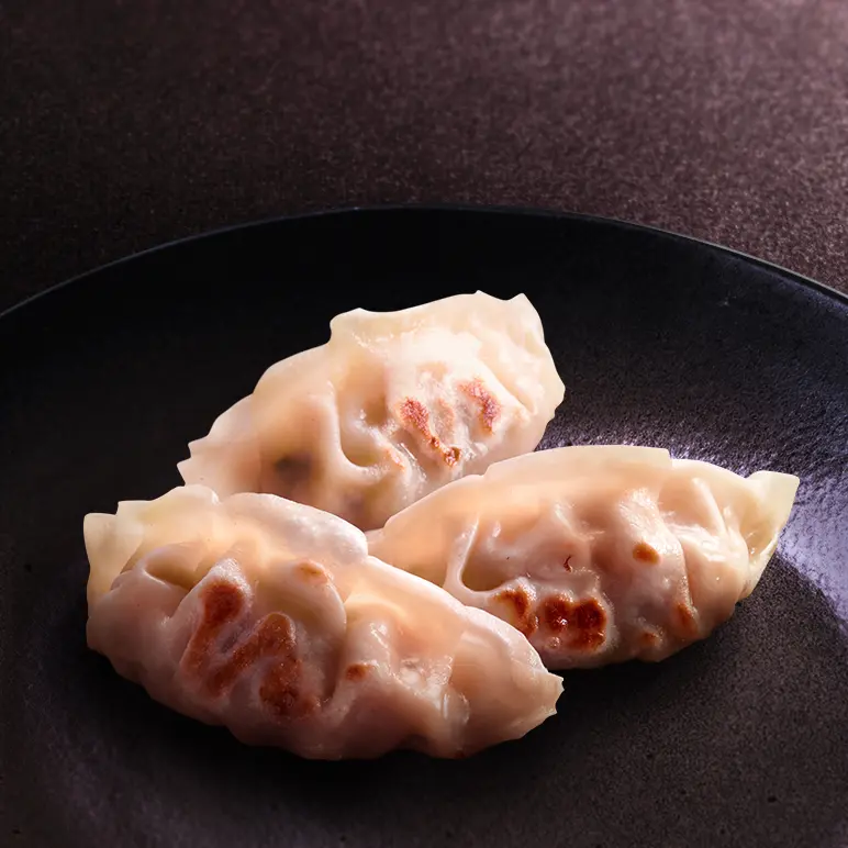 Gyoza Poulet