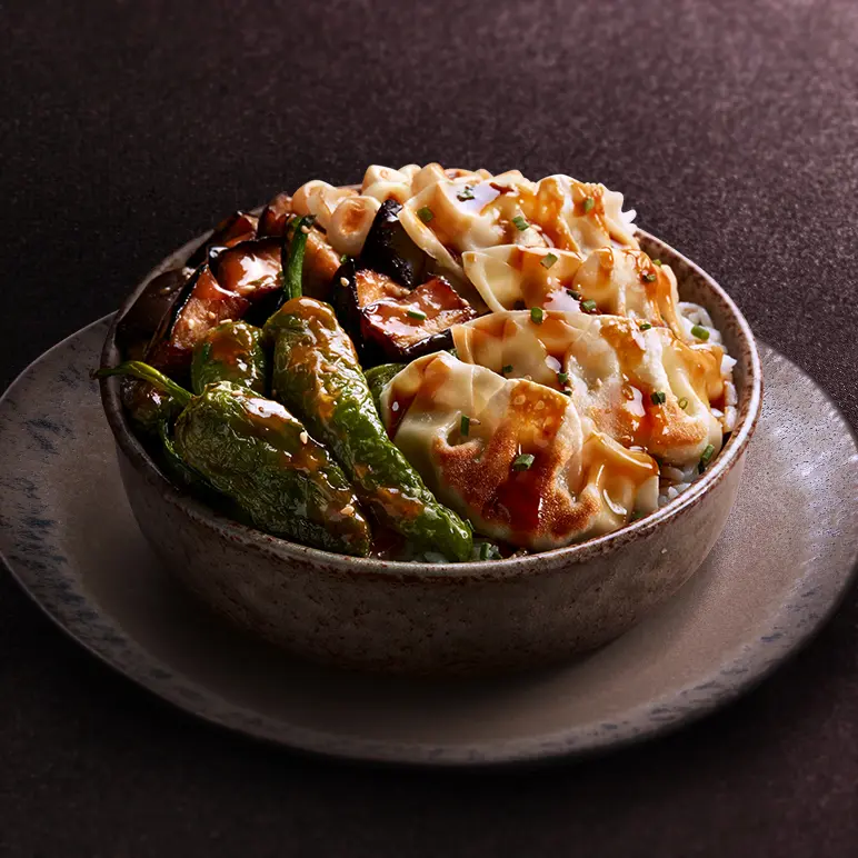 Donburi Gyoza Nikkei