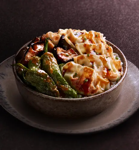 Donburi Gyoza Nikkei