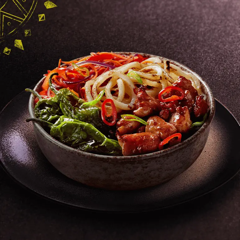 Nouilles Udon Poulet Grillé